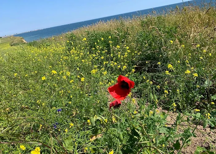 Kuestenlaeufer Appartamento